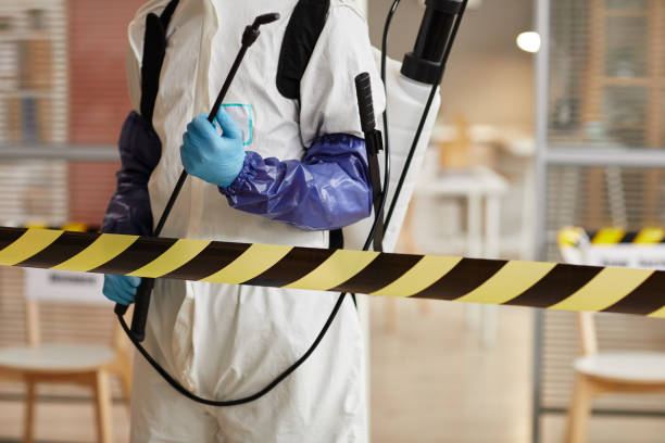 Professional Sewage Cleanup technician working in Canal Fulton, OH
